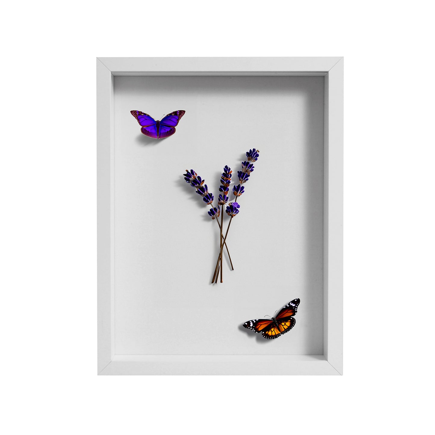 12" x 16” White MDF Wood Shadow Box Frame