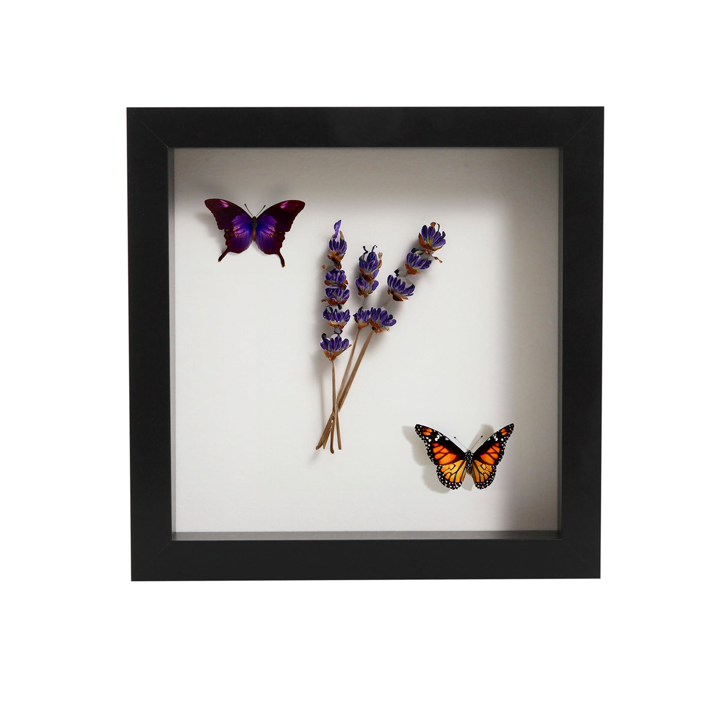 8" x 8” Black MDF Wood Shadow Box Frame