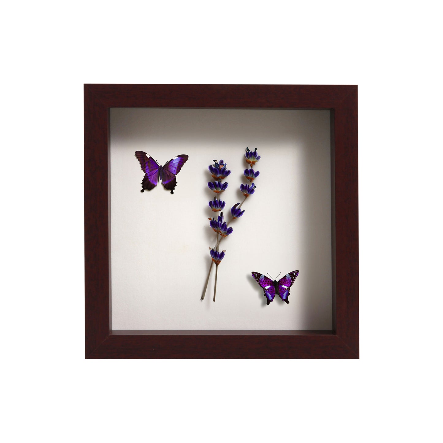 8" x 8” Mahogany MDF Wood Shadow Box Frame