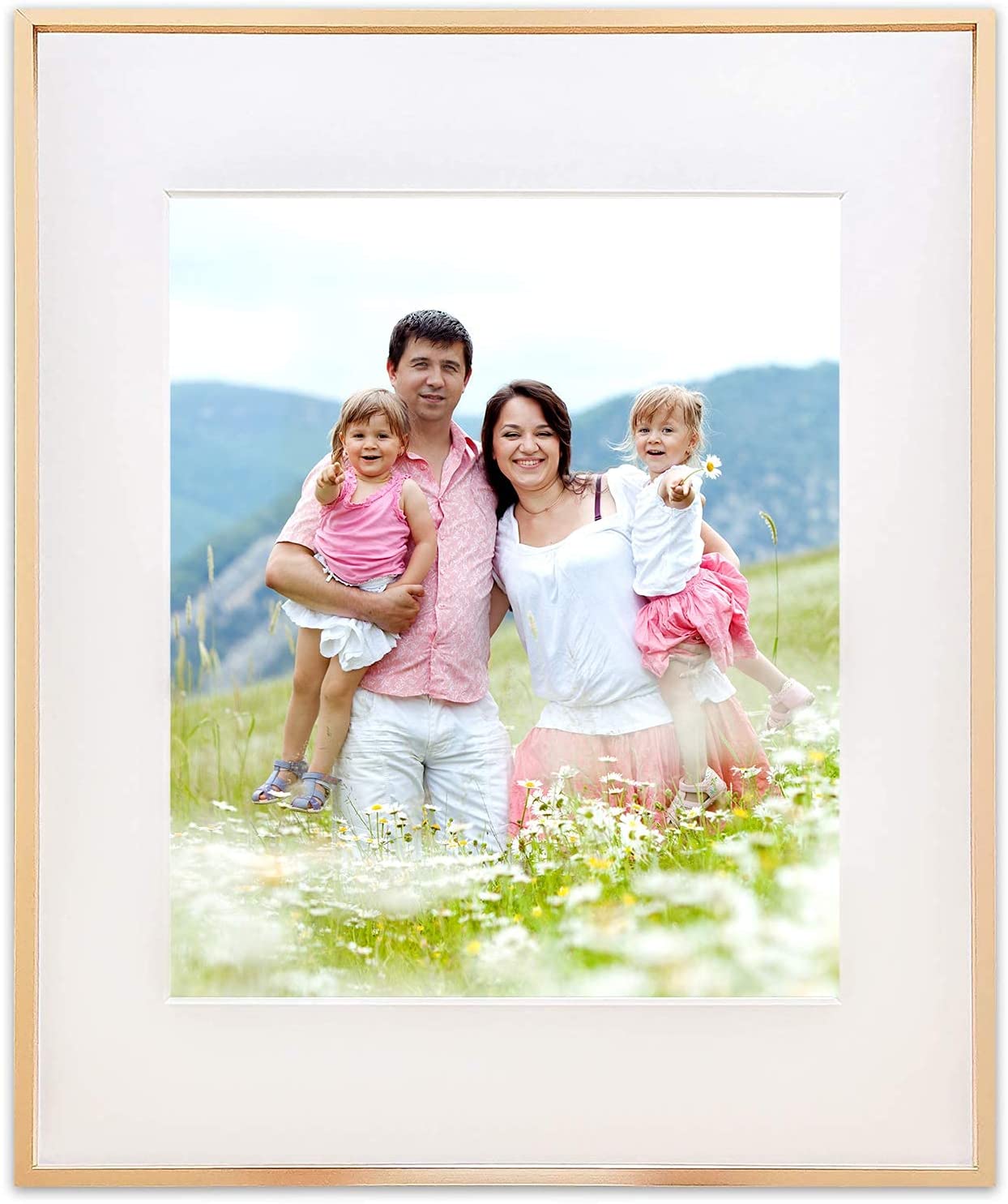11" x 14" Gold Aluminum Picture Frame with Tempered Glass, 8" x 10" Matted