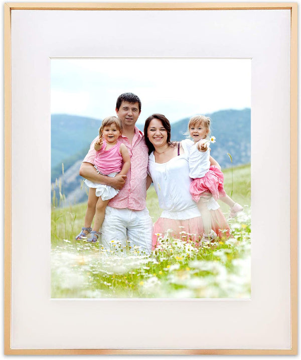 20" x 24" Gold Aluminum Picture Frame with Tempered Glass, 16" x 20" Matted